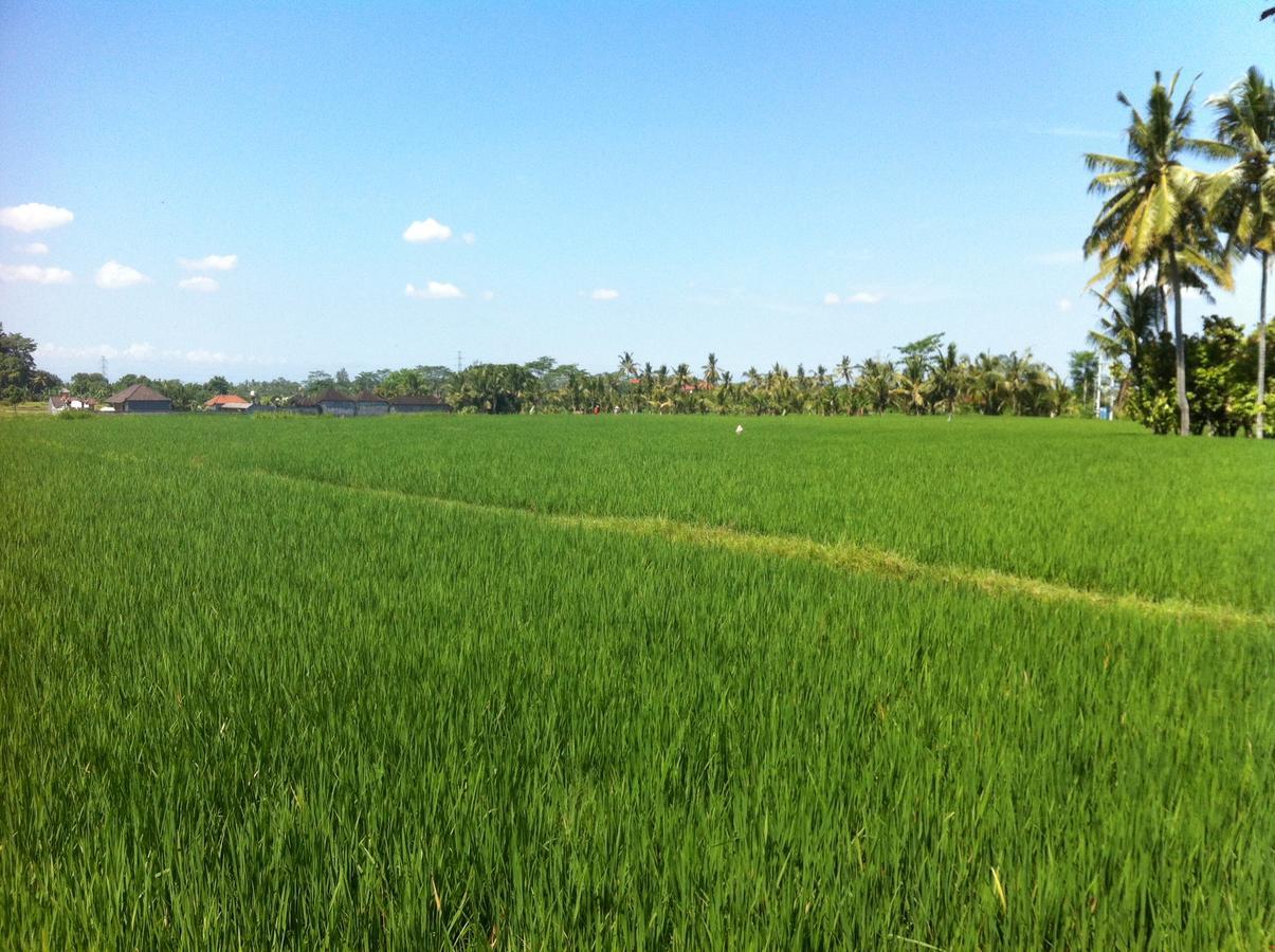 Wisma tamu Hideaway Seminyak (Bali)